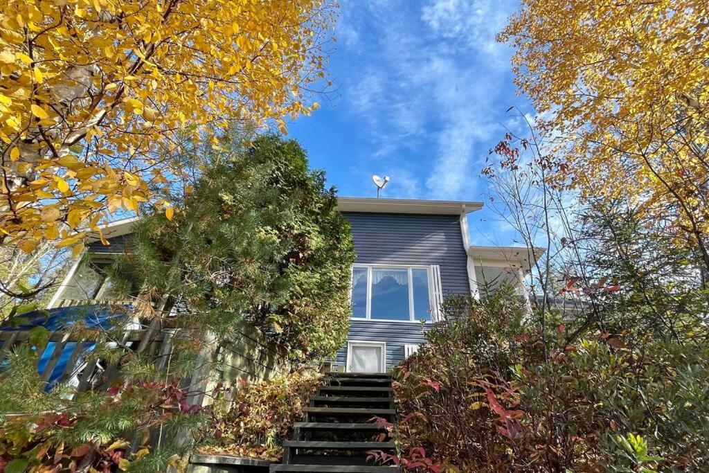 Le Chalet Bleu, Aux Pieds Des Monts-Valin Saint-David-de-Falardeau Exterior foto